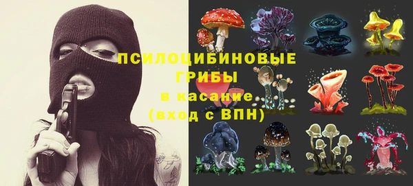 a pvp Алзамай