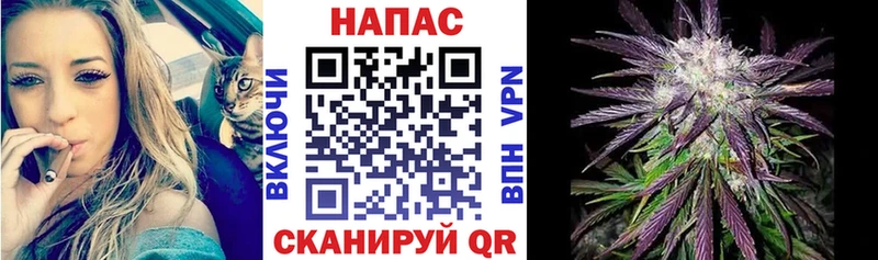 наркотики  Петровск-Забайкальский  Бошки Шишки индика 